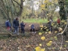 img_20201116_160024