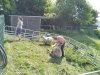 IMG_20220510_101656_3