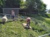 IMG_20220510_102128_816