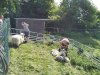 IMG_20220510_102153_773