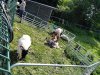 IMG_20220510_102559_614