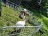 IMG_20220510_102609_556