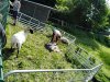 IMG_20220510_102624_791