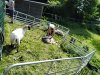IMG_20220510_102627_371