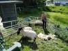 IMG_20220510_103133_671