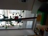 DSCN3983