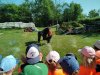 IMG_20220506_103718_603