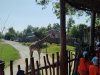 IMG_20220506_110045_208