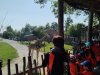IMG_20220506_110048_704