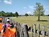 IMG_20220506_121018_429