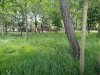 IMG_20220506_121501_227