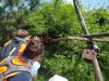 IMG_20220506_122453_252