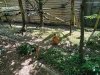 IMG_20220506_141614_924