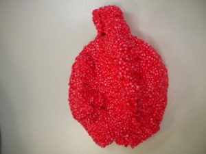 Matinée des Super Parents