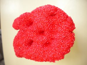 Matinée des Super Parents