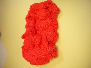 Matinée des Super Parents