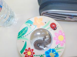 Matinée des Super Parents - Spécial Mamans