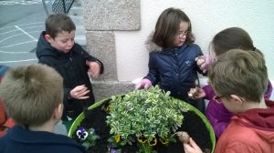 Matinée des Super Parents - Spécial Mamans