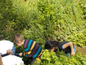 Kermesse